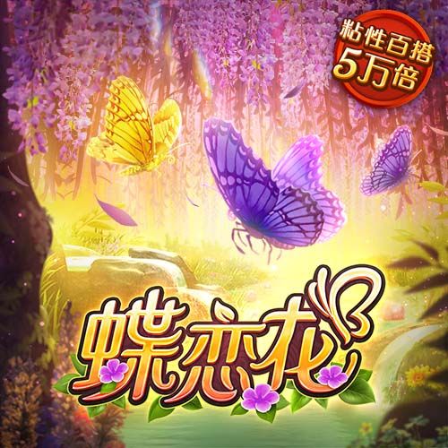 39岁落选秀，被称为NBA最完美的人