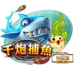 🚨夏季二阵：霍兰&克尼佩尔&阿杰伊